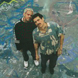 Evening Elephants 2026