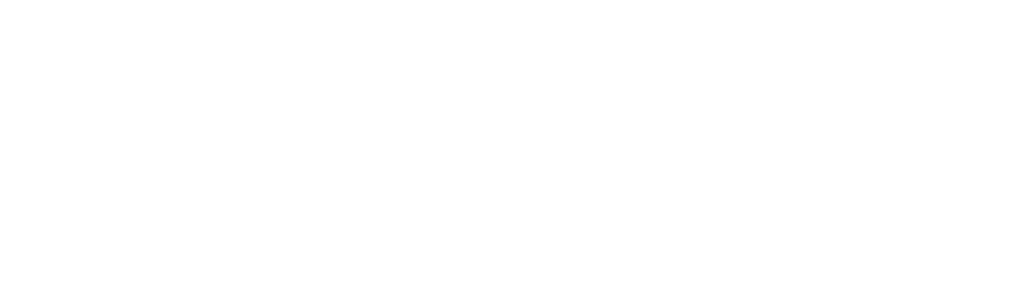 Champion Hotels