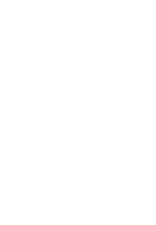 The Spirit Shop